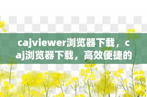 cajviewer浏览器下载，caj浏览器下载，高效便捷的学术资源获取方式
