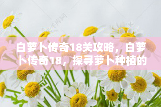 白萝卜传奇18关攻略，白萝卜传奇18，探寻萝卜种植的秘密