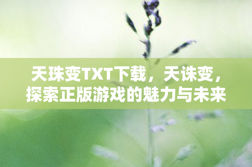 天珠变TXT下载,天诛变,探索正版游戏的魅力与未来 天珠变TXT下载,天诛变,探索正版游戏的魅力与未来