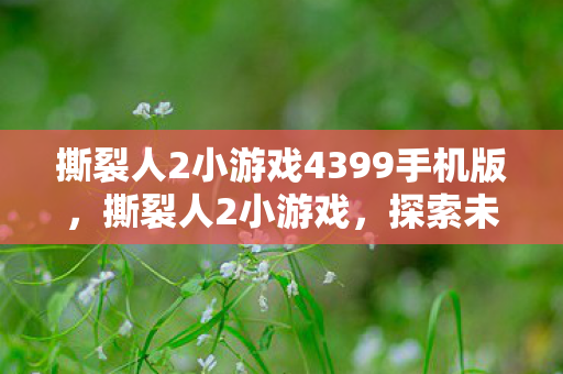 撕裂人2小游戏4399手机版，撕裂人2小游戏，探索未知世界的奇妙冒险