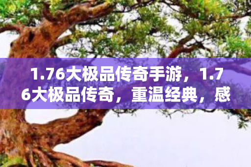 1.76大极品传奇手游，1.76大极品传奇，重温经典，感受传奇的魅力