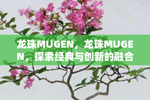 龙珠MUGEN，龙珠MUGEN，探索经典与创新的融合