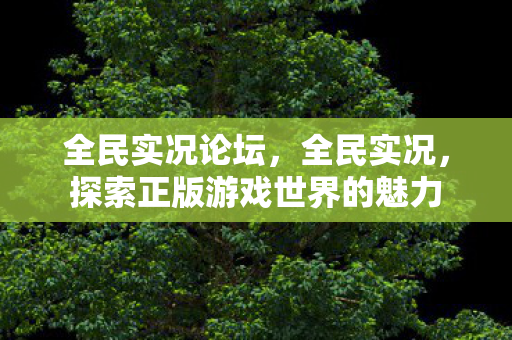 全民实况论坛，全民实况，探索正版游戏世界的魅力