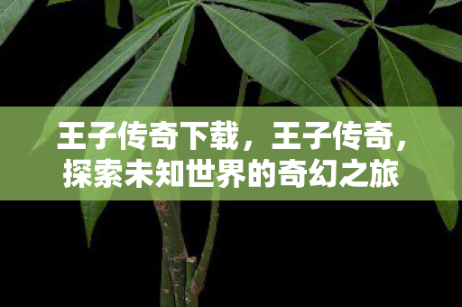 王子传奇下载，王子传奇，探索未知世界的奇幻之旅