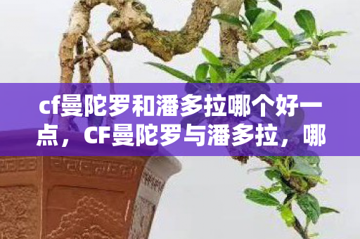 cf曼陀罗和潘多拉哪个好一点，CF曼陀罗与潘多拉，哪个更好？