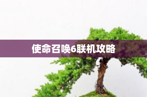 使命召唤6联机攻略 使命召唤6联机攻略
