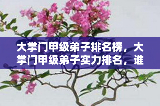 大掌门甲级弟子排名榜，大掌门甲级弟子实力排名，谁才是江湖中的真正强者？