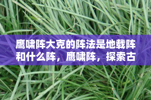 鹰啸阵大克的阵法是地载阵和什么阵,鹰啸阵,探索古老战术的现代应用 鹰啸阵大克的阵法是地载阵和什么阵,鹰啸阵,探索古老战术的现代应用