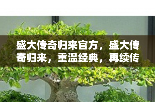 盛大传奇归来官方，盛大传奇归来，重温经典，再续传奇