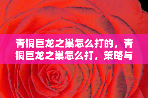 青铜巨龙之巢怎么打的,青铜巨龙之巢怎么打,策略与技巧详解 青铜巨龙之巢怎么打的,青铜巨龙之巢怎么打,策略与技巧详解