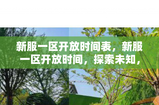 新服一区开放时间表，新服一区开放时间，探索未知，开启冒险之旅