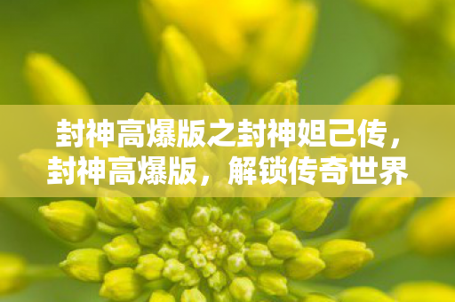 封神高爆版之封神妲己传,封神高爆版,解锁传奇世界的全新体验 封神高爆版之封神妲己传,封神高爆版,解锁传奇世界的全新体验