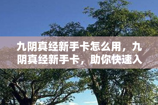 九阴真经新手卡怎么用,九阴真经新手卡,助你快速入门,畅游武侠世界 九阴真经新手卡怎么用,九阴真经新手卡,助你快速入门,畅游武侠世界