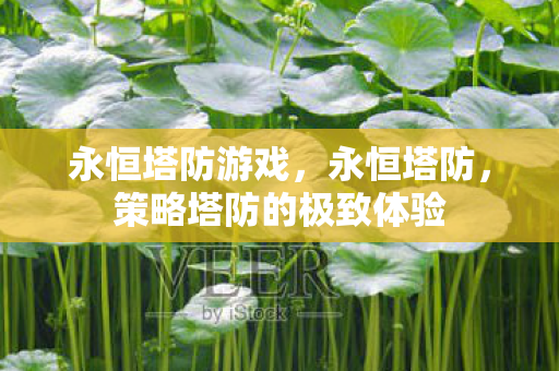 永恒塔防游戏，永恒塔防，策略塔防的极致体验