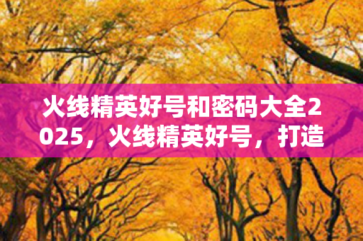 火线精英好号和密码大全2025，火线精英好号，打造你的专属游戏王国