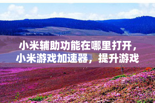 小米辅助功能在哪里打开，小米游戏加速器，提升游戏体验的神奇工具