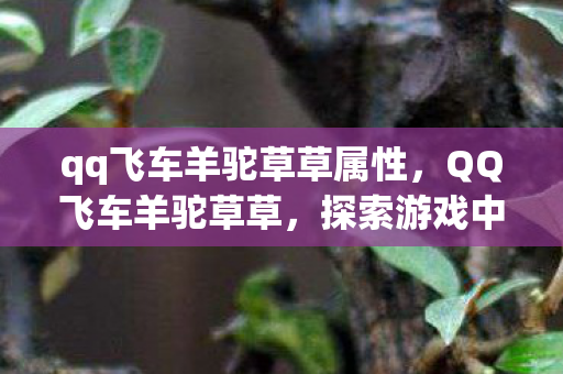 qq飞车羊驼草草属性，QQ飞车羊驼草草，探索游戏中的奇妙之旅