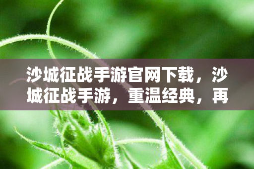 沙城征战手游官网下载，沙城征战手游，重温经典，再战沙场的传奇之旅