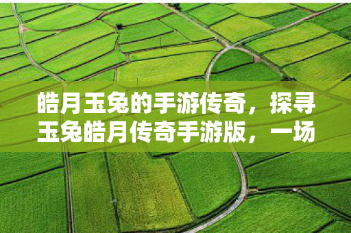 皓月玉兔的手游传奇,探寻玉兔皓月传奇手游版,一场传奇之旅的启程 皓月玉兔的手游传奇,探寻玉兔皓月传奇手游版,一场传奇之旅的启程