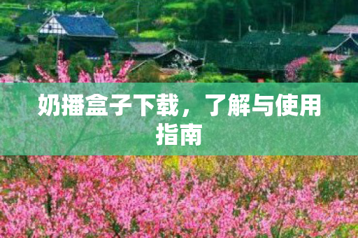 奶播盒子下载，了解与使用指南