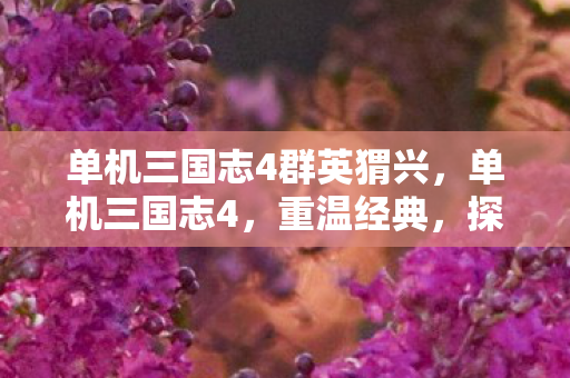 单机三国志4群英猬兴，单机三国志4，重温经典，探索历史的深度与广度