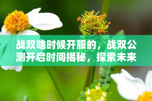 战双啥时候开服的，战双公测开启时间揭秘，探索未来科幻世界的启程