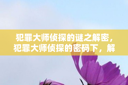 犯罪大师侦探的谜之解密，犯罪大师侦探的密码下，解密侦探世界的数字谜题