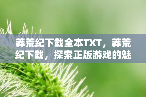 莽荒纪下载全本TXT，莽荒纪下载，探索正版游戏的魅力