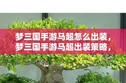 梦三国手游马超怎么出装，梦三国手游马超出装策略，打造最强输出