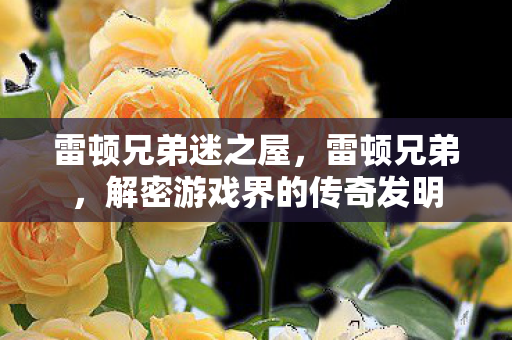 雷顿兄弟迷之屋，雷顿兄弟，解密游戏界的传奇发明