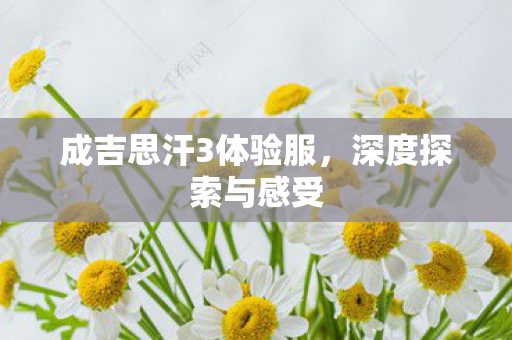 成吉思汗3体验服，深度探索与感受