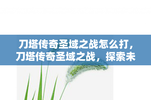刀塔传奇圣域之战怎么打，刀塔传奇圣域之战，探索未知领域的战斗艺术