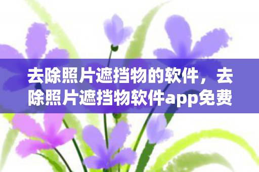 去除照片遮挡物的软件，去除照片遮挡物软件app免费，解锁照片新视角的利器