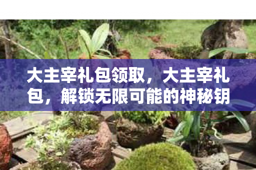 大主宰礼包领取，大主宰礼包，解锁无限可能的神秘钥匙