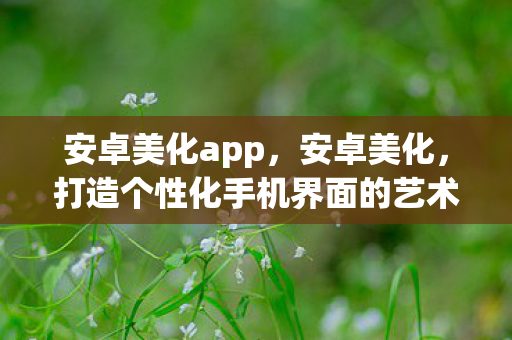 安卓美化app，安卓美化，打造个性化手机界面的艺术之旅