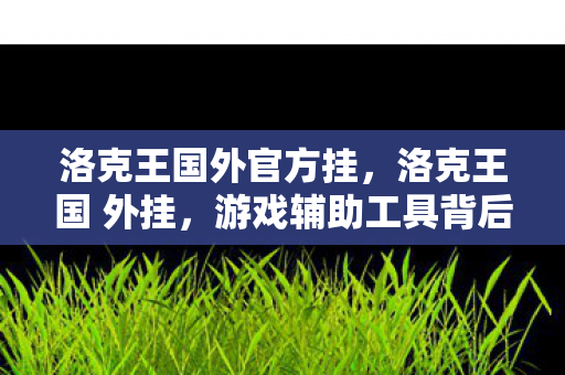 洛克王国外官方挂,洛克王国 外挂,游戏辅助工具背后的灰色阴影 洛克王国外官方挂,洛克王国 外挂,游戏辅助工具背后的灰色阴影