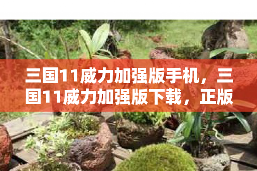 三国11威力加强版手机,三国11威力加强版下载,正版游戏的魅力与体验 三国11威力加强版手机,三国11威力加强版下载,正版游戏的魅力与体验