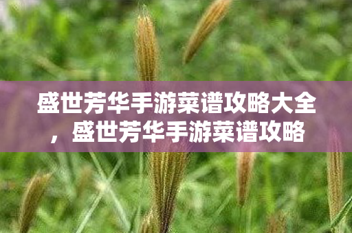 盛世芳华手游菜谱攻略大全，盛世芳华手游菜谱攻略
