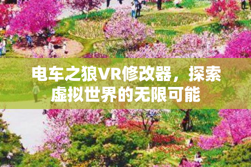 电车之狼VR修改器，探索虚拟世界的无限可能