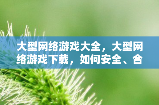大型网络游戏大全，大型网络游戏下载，如何安全、合法地获取游戏资源