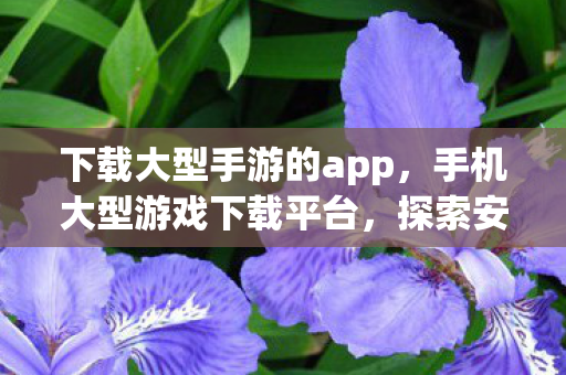下载大型手游的app，手机大型游戏下载平台，探索安全与乐趣的完美结合