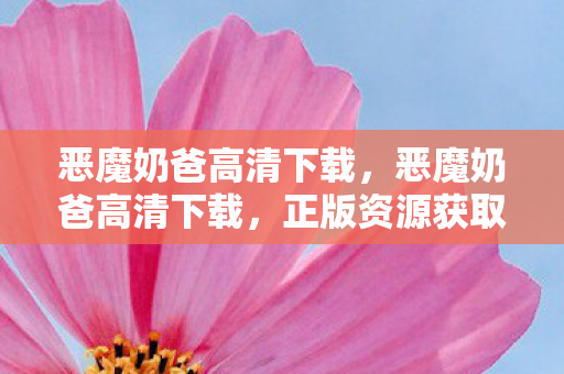 恶魔奶爸高清下载，恶魔奶爸高清下载，正版资源获取与观影体验提升指南