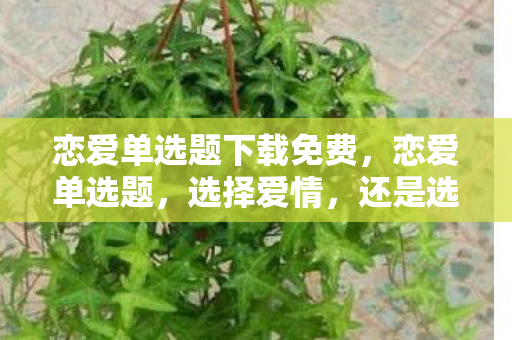 恋爱单选题下载免费，恋爱单选题，选择爱情，还是选择面包？