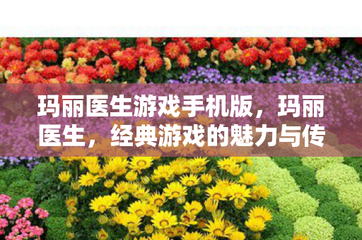 玛丽医生游戏手机版，玛丽医生，经典游戏的魅力与传承