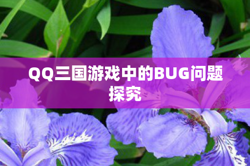 QQ三国游戏中的BUG问题探究