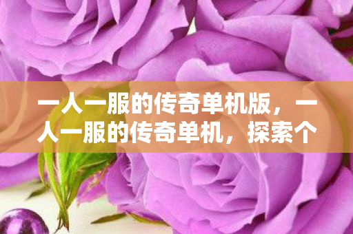 一人一服的传奇单机版，一人一服的传奇单机，探索个性化游戏的魅力