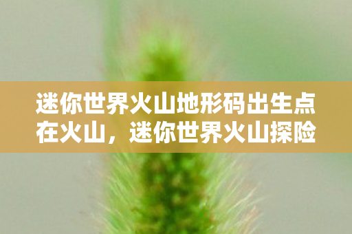 迷你世界火山地形码出生点在火山,迷你世界火山探险,揭秘神秘地形码 迷你世界火山地形码出生点在火山,迷你世界火山探险,揭秘神秘地形码