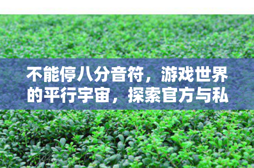 不能停八分音符，游戏世界的平行宇宙，探索官方与私服的微妙差异