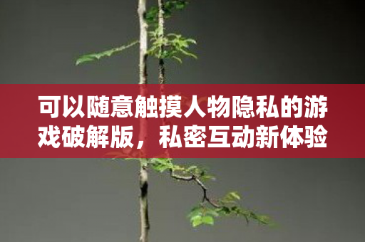 可以随意触摸人物隐私的游戏破解版，私密互动新体验，探索趣味角色触摸游戏