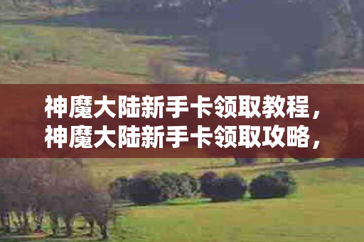 神魔大陆新手卡领取教程,神魔大陆新手卡领取攻略,快速上手,赢在起跑线! 神魔大陆新手卡领取教程,神魔大陆新手卡领取攻略,快速上手,赢在起跑线!